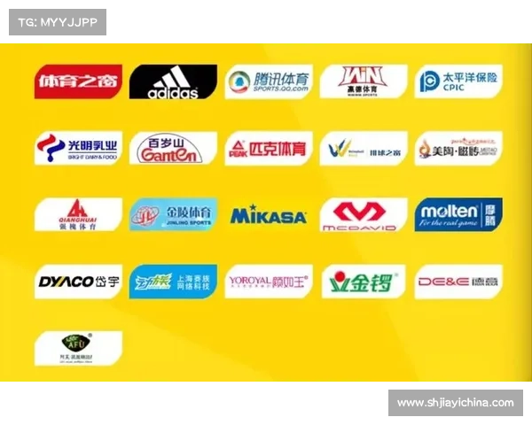 女排世界杯巅峰对决全球精英荣耀征程启幕