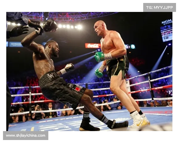 世界顶级拳赛赛事,世界最顶级拳击比赛
