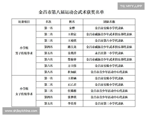 武术比赛组别是怎么分的武术赛事组别优化策略及其对竞技公平与创新发展的影响研究 武术比赛组别是怎么分的武术赛事组别优化策略及其对竞技公平与创新发展的影响研究