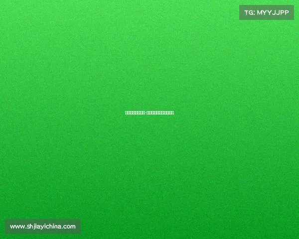 世界电子竞技城市-世界电子竞技城市运动会